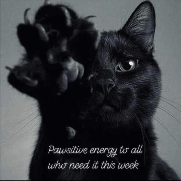 DANSKO Size 39 Paisley Waterproof Slip Resistant Lace Up Leather Sneakers Shoes - Picture 10 of 11